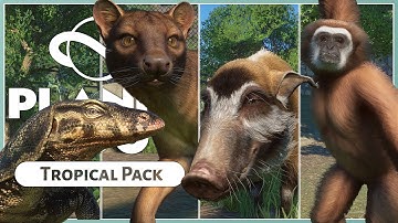 All New Animals & Build Pieces! | Planet Zoo Tropical Pack | Overview
