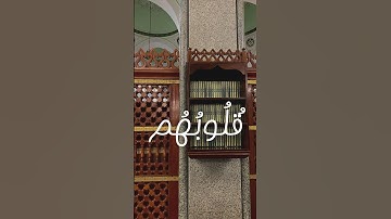 سورة الرعد (آية 28)
