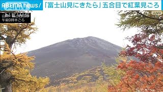 富士山五合目 紅葉が一気に見頃　昨年より2倍超の観光客か(2022年10月22日)