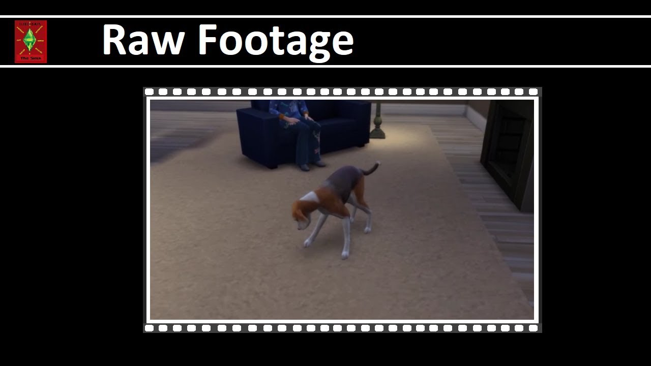 Raw Footage Pet age up and downs in The Sims 4 YouTube