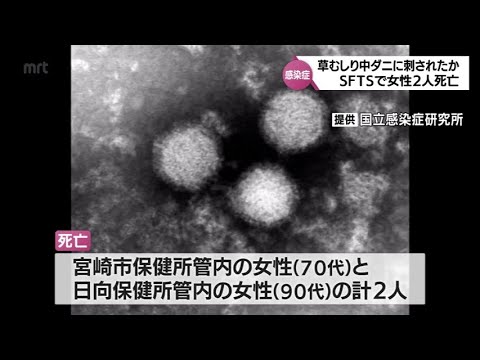 マダニが媒介する感染症「SFTS」　宮崎県内で女性2人が死亡　2人とも感染前に「草むしり」