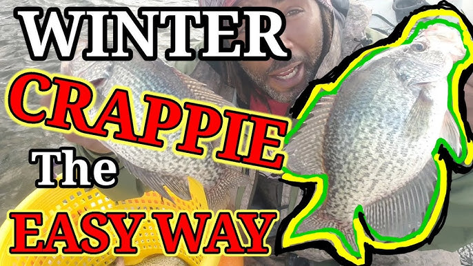 Winter time Crappie Fishing on Lake Wappapello 