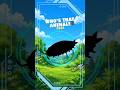 GIANT ISOPOD #032 - WILD DEX