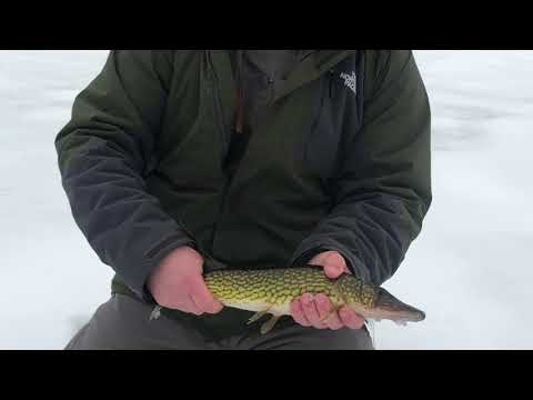 Robinson Pond Ice Fishing 2018 Highlights
