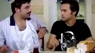 Geniş Aile Ulvi Tüm Benzetmeler