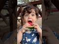كبري عقلك كاظم الساهر | رحلة حسوني عالجبل 😍