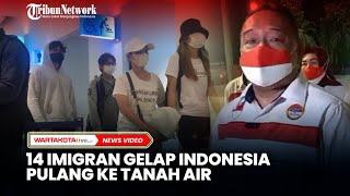 Imigran Gelap Indonesia yang Dipekerjakan di Perusahaan Judi Online di Kamboja Pulang ke Tanah Air
