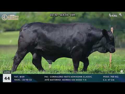 LOTE 044