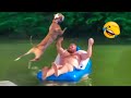 Funny cats and dogs video #2