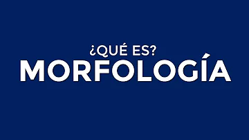 O que é o tema na morfologia?