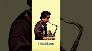 I Won't Fall Again - Mr Nai