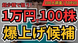 【少額が大化け】1万円で100株！超少額で買える大化けテンバガー候補株TOP10【個人投資家100人調査】
