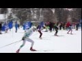 Sprint cross country ski