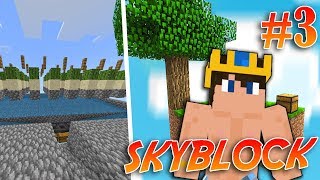 DİAMOND SKYBLOCK ! (PARA MAKİNESİ)  KAKTÜS FARM