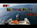 2022年初釣り行ってきました！完全フカセVS浮きフカセ
