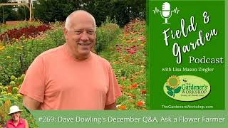 #269: Dave Dowling's December Q&A, Ask A Flower Farmer