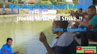 Daily Pomfret Fishing || Double Strike-Full Strike..!!