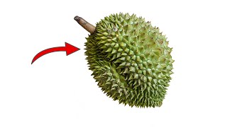 polishing a durian！incredible project