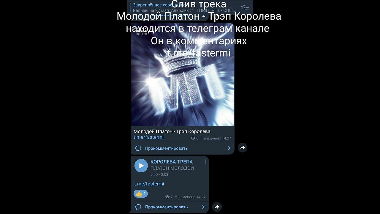 Подарок молодой платон слова