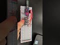 Carson Lindgren Lab 2 Video for Ec En 240