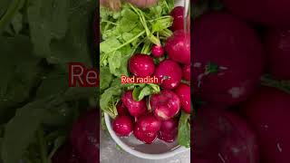 Red Radish 