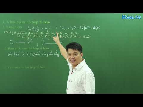 Video: Cấu trúc của ti thể có vai trò quan trọng như thế nào đối với hô hấp tế bào?