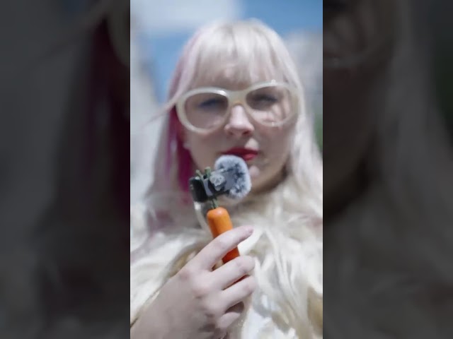 Alice on the roof : Leçon 3 pour réussir son concert à Avignon 