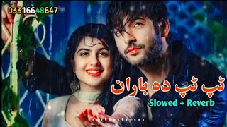 Tap Tap Da Baran Pashto New Songs | Slowed Reverb  | 2023 | ‎@harisofficial5869
