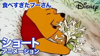 くまのプーさん　ちいさなぼうけん／ショートアニメ｜食べ過ぎたプーさん