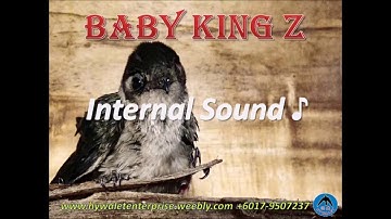 Swiftlet Sound-