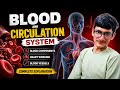 Cet science blood 10 +12 level
