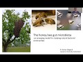 ミツバチの微生物生態学