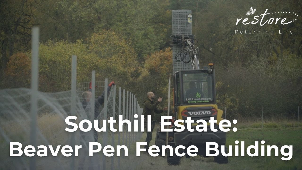 Beaver Pen Fence Building