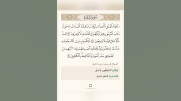 السراج في بيان غريب القران سورة البقرة 5 مع تلاوة الشيخ سعد الغامدي