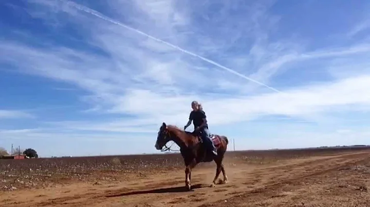 Riding Red