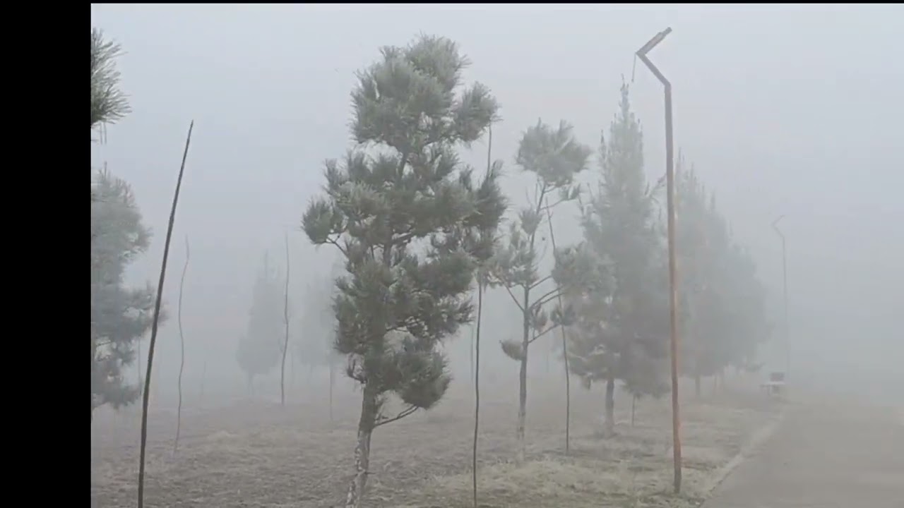 Город  в тумане (Алмалык)