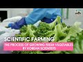 Scientific Farming The Process Of Growing Fresh Vegetables By Korean Scientists 