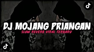 DJ MOJANG PRIANGAN ( SLOW & REVERB ) 🎧 VIRAL TERBARU SLOW BASS