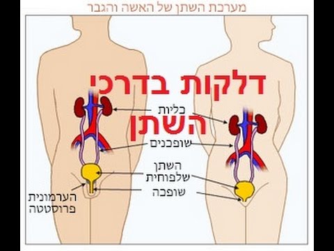 וִידֵאוֹ: דלקת שלפוחית השתן אצל נשים - סיבות, תסמינים וטיפול