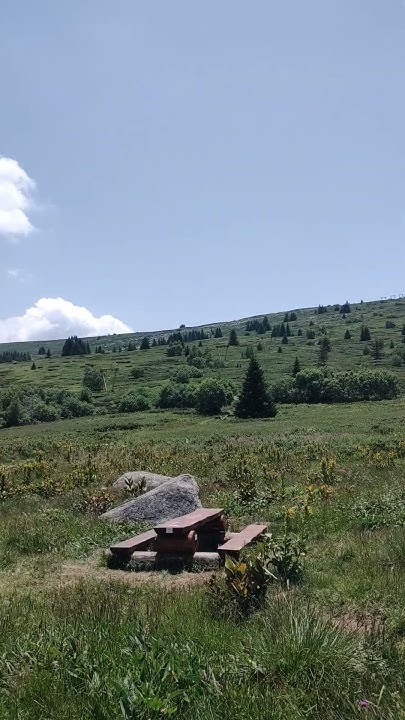Конярника на Витоша / Konyarnika area at Vitosha mountain #mountains # ...