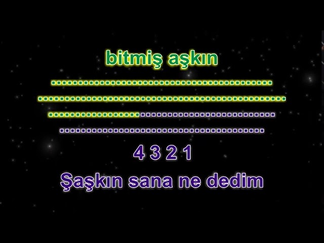 Erkin Koray - Şaşkın (Karaoke)