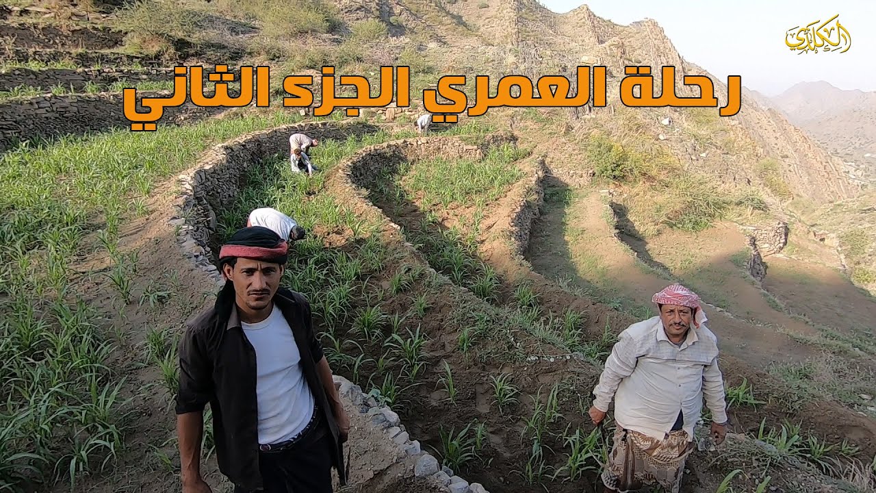 البتالة وحرث الارض في يافع   رحلة من كلد الى يهر 2022 - الجزء الثاني من رحلة العمري