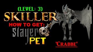 9HP - How to get Slayer Pet 'Crabbe' as lvl 3 Skiller | RS3