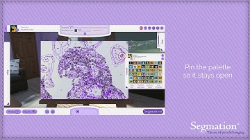 Getting Started with SegPlay® Full