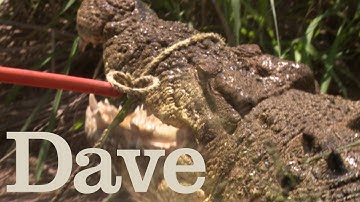 Jimmy Catches A Crocodile | Deadliest Pests Down Under | Dave