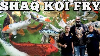 Shaquille O'neal's Baby Koi Update! What Happened to the Hundreds of Fry