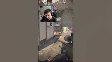 жалит как пчела #cs2 #csgo #gameplay #gaming #counterstrike #nvidia #ксго #steam #csgoclips