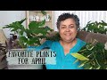 Favorite Plants For April | Spring Growth of Plants