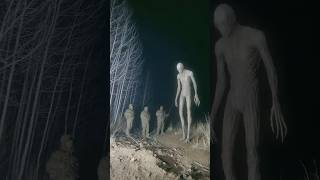 Trail Camera Films Skinwalker Tracking Elk in Utah Woods