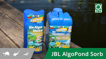 Die natürliche Vorbeugung gegen Algen im Teich - JBL AlgoPond Sorb